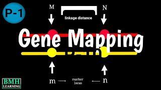 Genome Mapping  Genetic Mapping amp Physical Mapping  Types Of Gene Mapping [upl. by Ziana808]