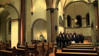 Gotteslobvideo GL 208 Christe du Lamm Gottes [upl. by Aloel368]