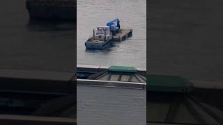 Tugboat amp Barge on the Harlem River Shorts Tugboat Barge EIGHTYSGUY [upl. by Ruffo]