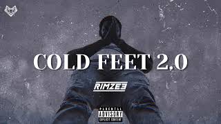 Rimzee  Cold Feet 20 Remix Mixtape [upl. by Aitnis956]