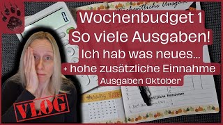 SPAREN Wochenabschluss 1 Oktoberbudget 😱 NEUES TEURER Start umschlagmethode budgetplanung vlog [upl. by Ynatsyd]