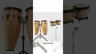 Unleash the Beat Embrace Latin Percussion bongos congas percussion [upl. by Audette]