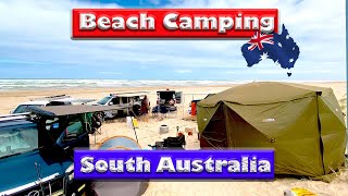 Beach camping in south australia  Goolwa beach [upl. by Kciregor]