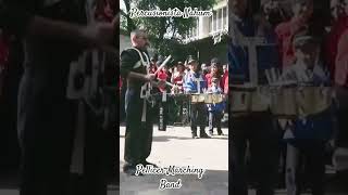 Pellicer Marching Band [upl. by Lrac]