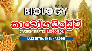 කාබෝහයිඩ්‍රේට්  CARBOHYDRATES  2026 THEORY  SINHALA  LESSON 1  AL BIOLOGY [upl. by Gazo980]