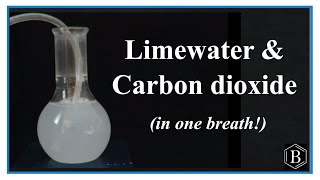 Testing for CO2 Carbon dioxide with Limewater [upl. by Refenej728]