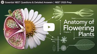 Anatomy of Flowering Plants NEET Biology Question and Answer [upl. by Dilly]