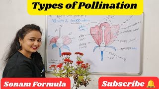 Types of Pollination  Agents of Pollination  Pollination in Hindi  Plant Breeding  Biology [upl. by Jovia]