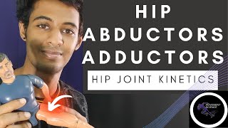 ADDUCTORS AND ABDUCTORS OF HIP HIP JOINT KINETICSHIP COMPLEX BIOMECHANICSPhysiotherapy Tutorials [upl. by Airotnahs]