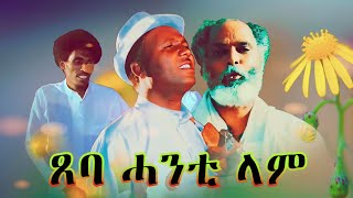 Abera Beyene  Tseba Hanti lam  Eritrean Tigrigna Music 2020 [upl. by Anaeda]