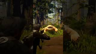 rdr 2 hunting legendary alligatorrdr2 shorts [upl. by Alleoj]