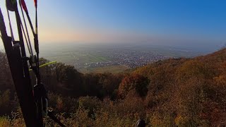 Paragliding Ölberg Schriesheim  herbstlicher Sonnenschein 09112024 [upl. by Aivon]