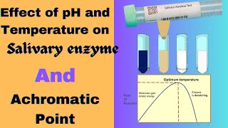 Effect of pH and temperature on Salivary enzyme and Achromatic Point determination Biochemistry [upl. by Erving]