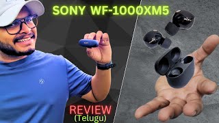 Sony WF1000 XM5 TWS Earbuds Review  Telugu [upl. by Deegan]