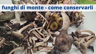 funghi di montagnacome conservarli [upl. by Aloeda]