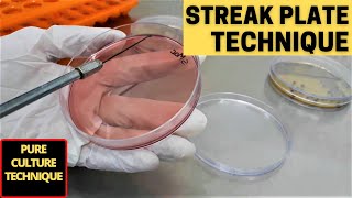 Streak Plate Technique for The Isolation of Pure CultureA Complete Procedure Microbiology [upl. by Ettore]