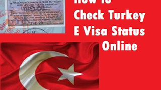 How to Check Turkey E Visa Status Online [upl. by Stuckey]