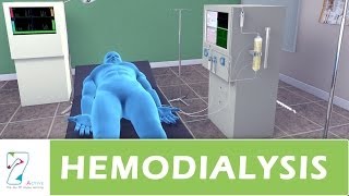 Hemodialysis [upl. by Mosenthal86]