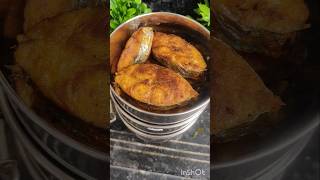 Todays lunch box  vanjaram fishfry fish kulambu dragon fruit ytshorts viralvideo trending [upl. by Encratis433]