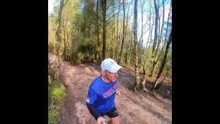 Haldon Forest Parkrun [upl. by Kenny]