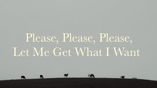 Please Please Please Let Me Get What I Want Cover by The Mist Calls [upl. by Gay]