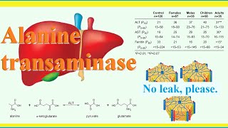 alanine transaminase [upl. by Forelli196]