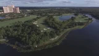 Shingle Creek Orlando [upl. by Benedix337]