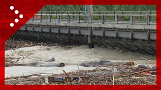 Cesena fiume Savio a livelli storici arcate del Ponte della ferrovia sommerse e piene di tronchi [upl. by Ahsercel391]