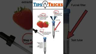 DNA Extraction Tips [upl. by Htebirol]