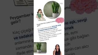 Kilic ciceginin anlamını biliyormusunuz Cevabı videoda gardenplants çiçek garden sanseveria [upl. by Card]