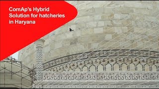 Hybrid Solutions for Hatcheries in Haryana [upl. by Leraj379]