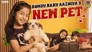 Rowdy Baby Aazhiyas New Pet  RowdyBabyTamil  Tamada Media [upl. by Diane-Marie]