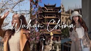 MANDARIN Wuhan武汉之旅✈️航班取消？😨 中国樱花🌸季节💕✨ 免visa飞中国🇨🇳 ENG SUB  Travel Vlog [upl. by Yuk]