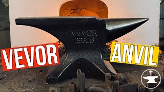 Budget Anvil I REVIEW OF VEVOR ANVIL I [upl. by Jecoa]