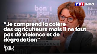 Annie Genevard quotJe comprend la colère des agriculteursquot ｜TF1 INFO [upl. by Adamok]