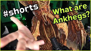 What is an Ankheg in DampD [upl. by Chastity]