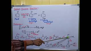 Reimer Tiemann reaction with mechanism [upl. by Banebrudge]