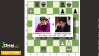 Highlights from Wijk aan Zee 2014  Part 3 [upl. by Suhail]