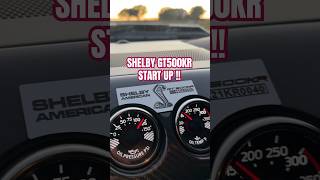 SHELBY GT500KR START UP  shelby startup mustang [upl. by Yddet]