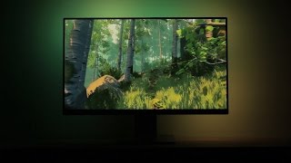 Ambilight Video Game Demo  Recording [upl. by Wyly]