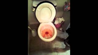 How to Clean Your Toilet Bowl with Kool Aid [upl. by Bibby]