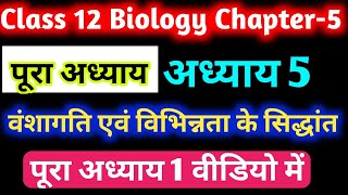 वंशागति एवं विभिन्नता पूरा अध्याय ।। Vanshagati AVN vividhta class 12 Biology chapter5  biology [upl. by Mickey]