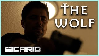 The Wolf of Juarez  Alejandro Character Analysis Sicario [upl. by Saleme329]