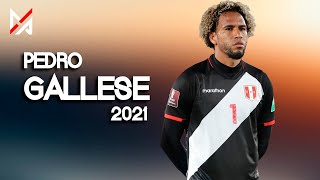 Pedro Gallese  Mejores Atajadas  Selección Peruana  El Pulpo  2021  MPHD™ [upl. by Gilman]