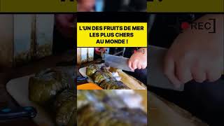 Lun des fruits de mer les plus chers au monde  food streetcuisine cuisine streetfood recette [upl. by Donela]