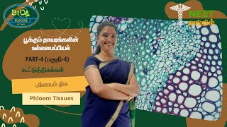 Anatomy of Flowering Plants  Part 4  Complex Tissues  Phloem Tissues  NEET Tamil [upl. by Abigail]