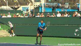 JoWilfried Tsonga Serves in HD [upl. by Marina698]