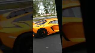 Dikke Lambo ik Almere [upl. by Lavern]