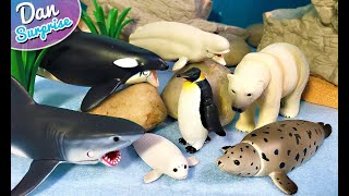 10 Gorgeous Marine Sea Animals  Polar Bear Orca Penguin Seal Beluga Shark Whaleshark Turtle [upl. by Aelahs]