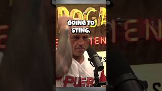 Joe Rogan amp Elon Musk Why 12 to 6 Elbow BAN in MMA is Dumb  joerogan elonmusk jre [upl. by Von]